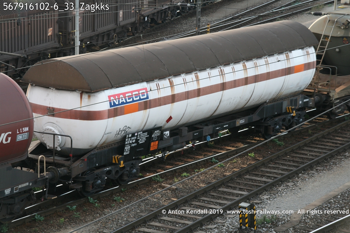 567916102-6_33_Zagkks.jpg